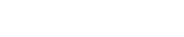 level b1