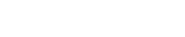 level a1