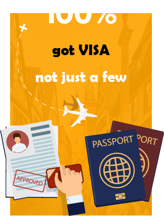 100% got visa